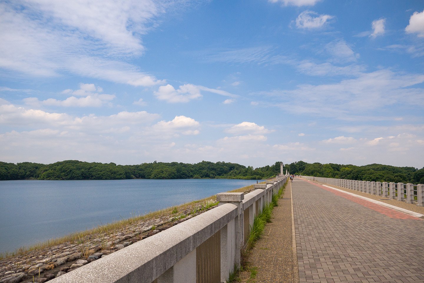 🏞️ 사야마 호수(사야마코)